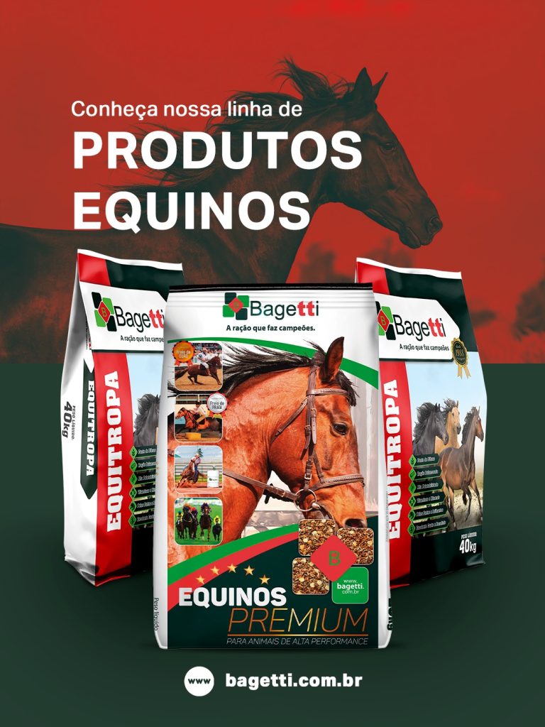 517588775_1151272277029844_6829362610628787583_n