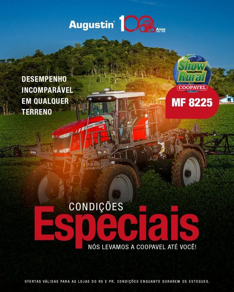 WhatsApp Image 2026-02-06 at 16.20.27