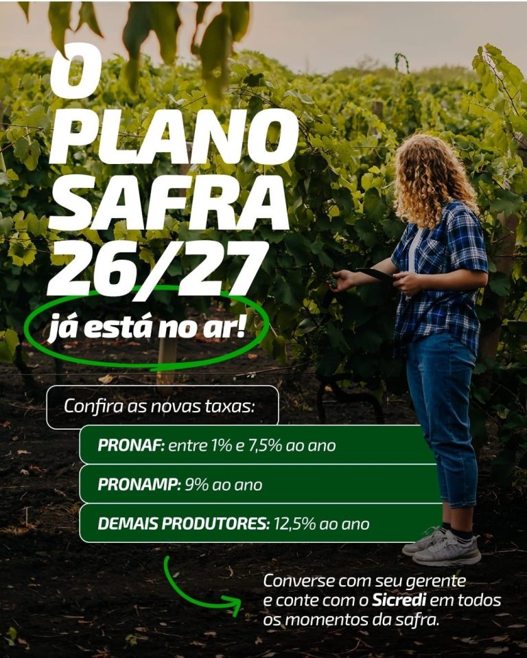 WhatsApp Image 2026-08-11 at 16.02.24